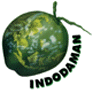 logo indodaman.gif (6049 bytes)